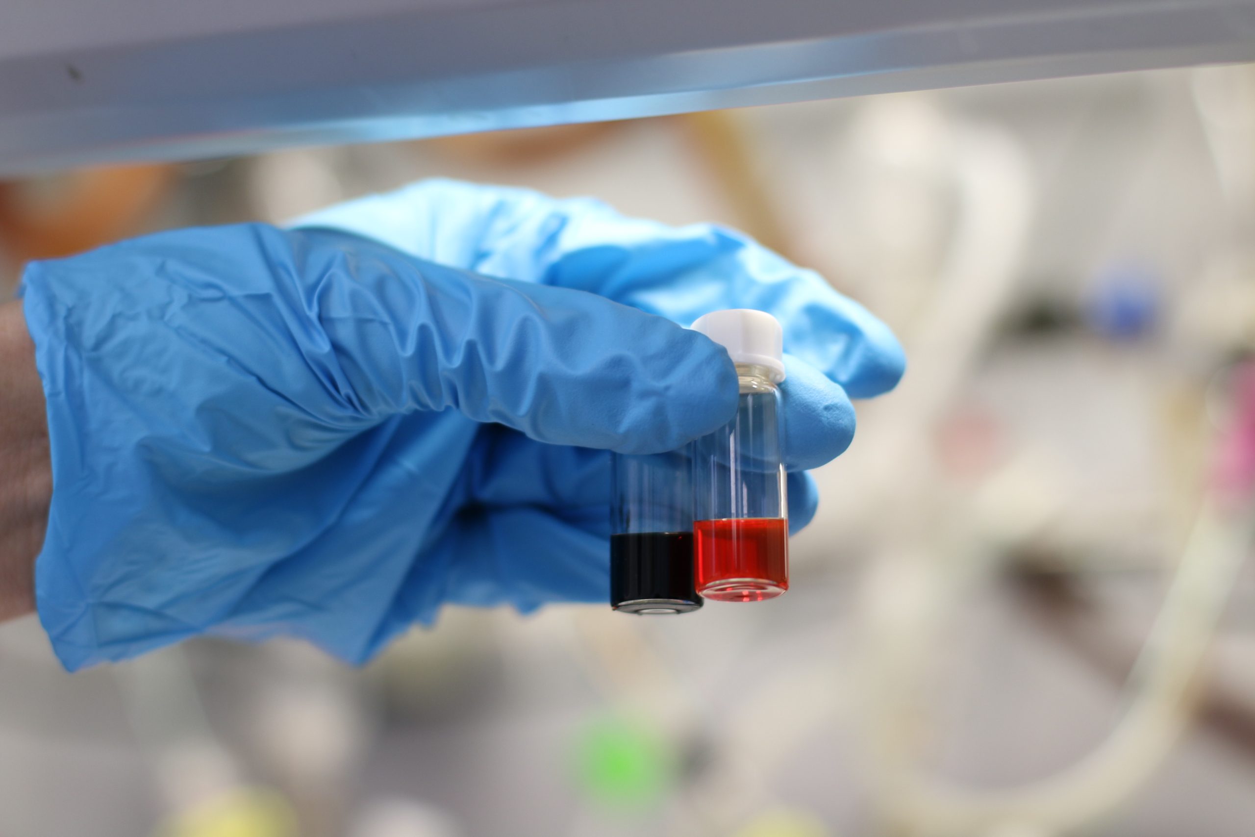 Two laboratory containers filled with black and red liquids, representing catalytic processes and experimental studies in biomass conversion and energy-related chemical reactions.