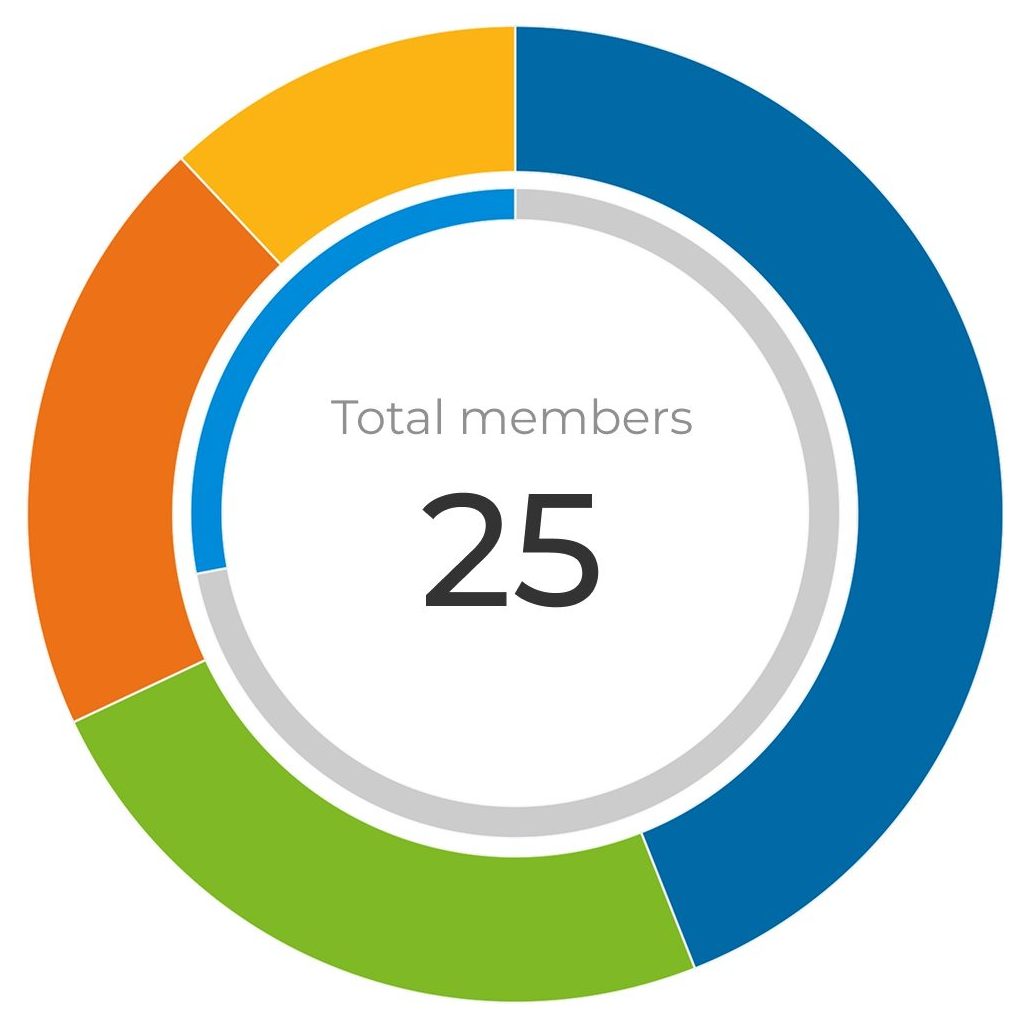 Donut chart and data table showing the composition of 25 total members by professional category and gender.