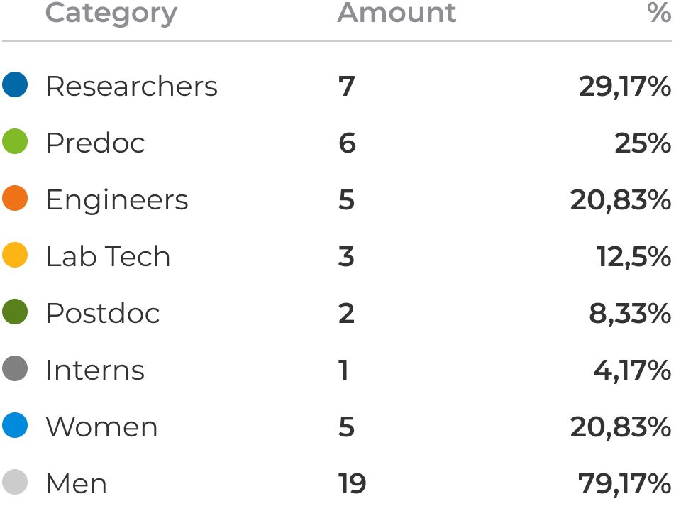 Data table illustrating the distribution of 24 team members by professional role and gender.